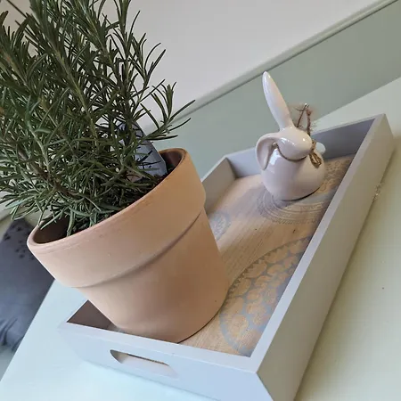 Apartment Ferienwohnung Pusteblume Marktbergel